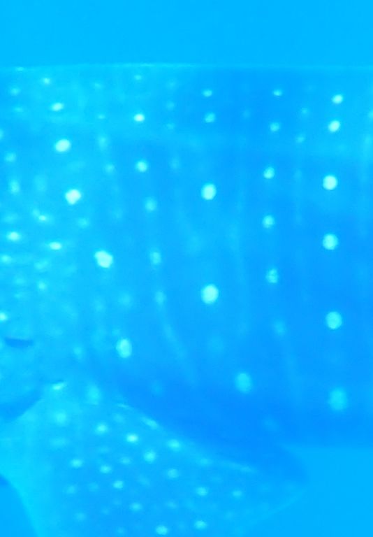 d4fc8bea-fd4a-4710-8761-8f70716d59fa