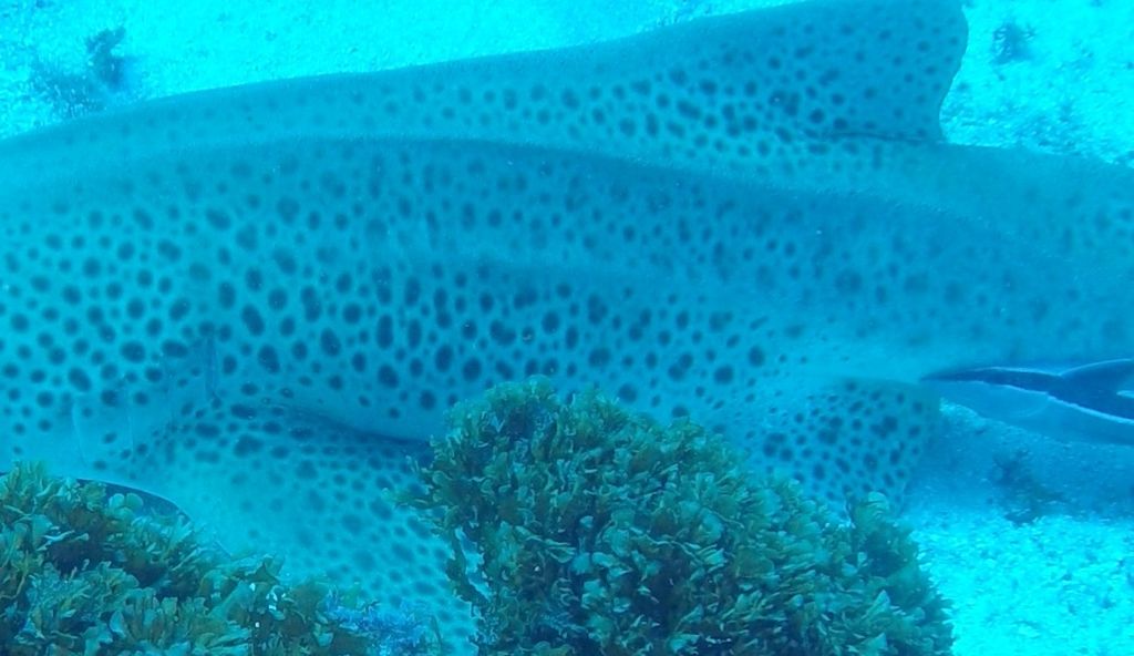 f88fc445-9677-4d7f-93a2-b9f3abc335ba