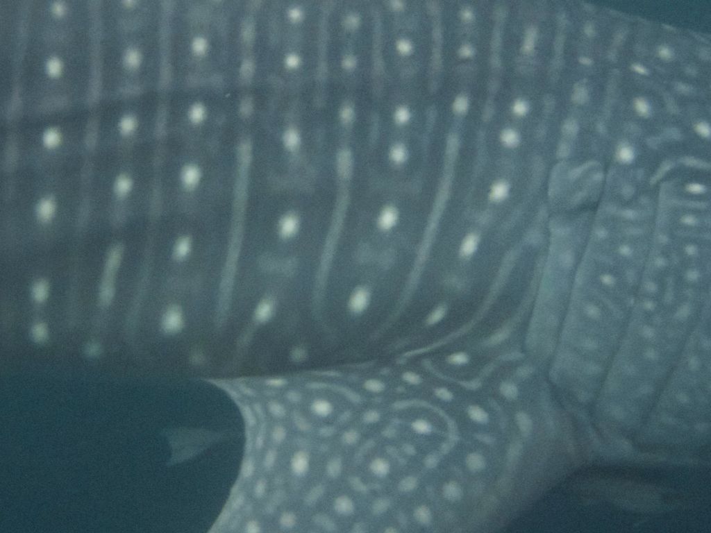 1d3d96a9-f677-4735-8ef8-c18ae35d4113