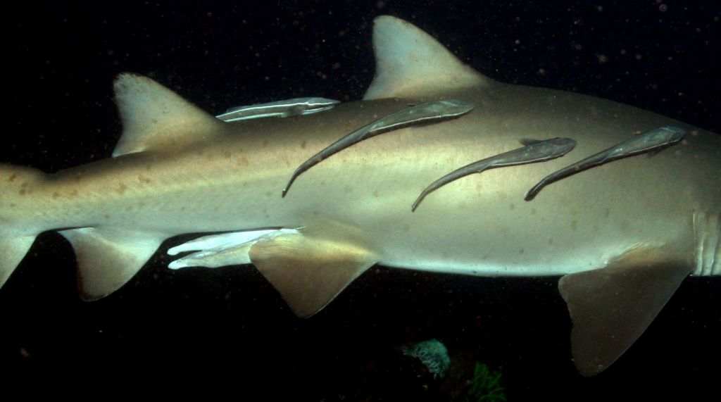 2a8f4b60-c456-4bda-be6c-bc57d8f601d0