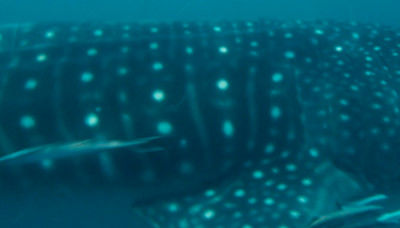 08b1eb15-38b4-4e98-9145-67082e116d28