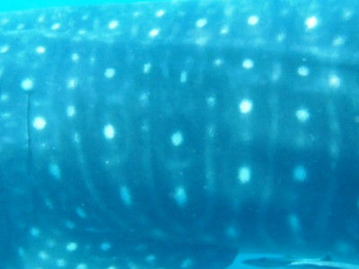 08b1eb15-38b4-4e98-9145-67082e116d28