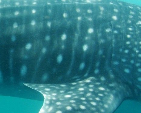 e6a8f05e-fff2-44bd-9950-d6e73af3abcb