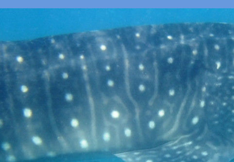 e24a6690-2507-469d-92b2-75e389c17f5e