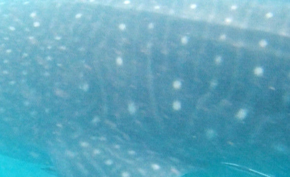 e24a6690-2507-469d-92b2-75e389c17f5e