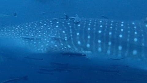 61289207-edc1-4bd0-b473-7ece252ab92f