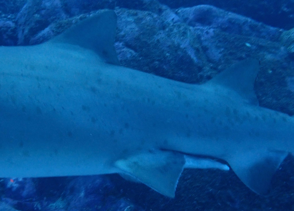 b7ab8b6d-e046-4fdd-b446-d06dbb0d66a0