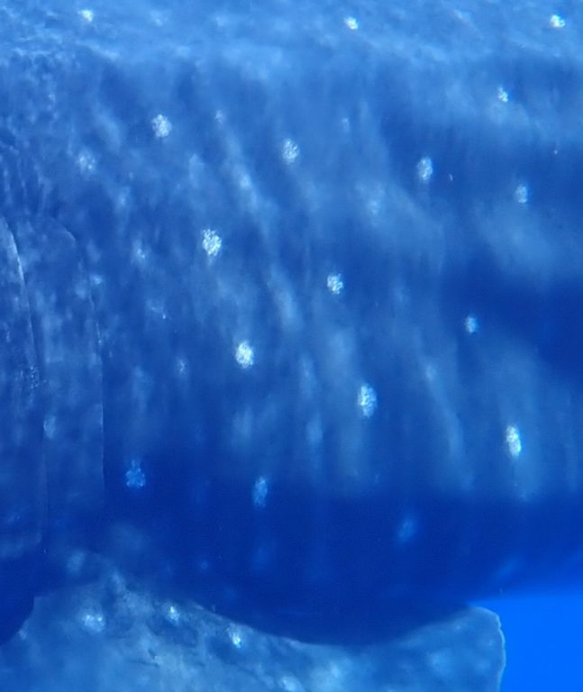 5b7a71a1-5c0c-4ed0-ab60-fb879d998cd0