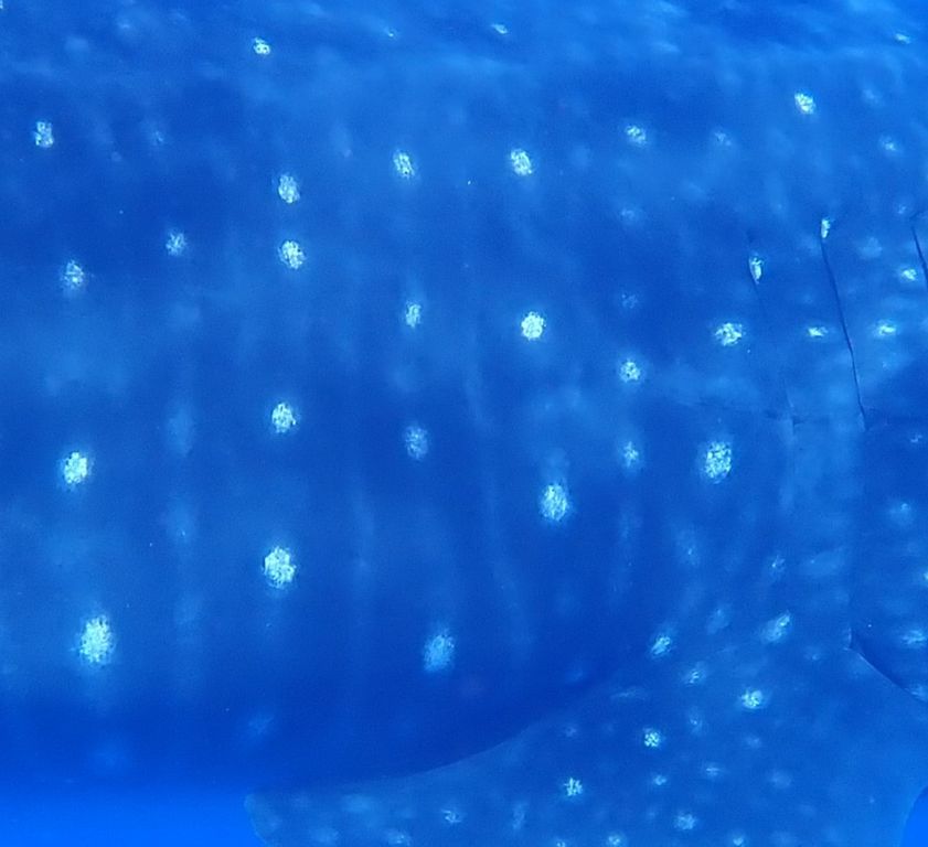 5b7a71a1-5c0c-4ed0-ab60-fb879d998cd0