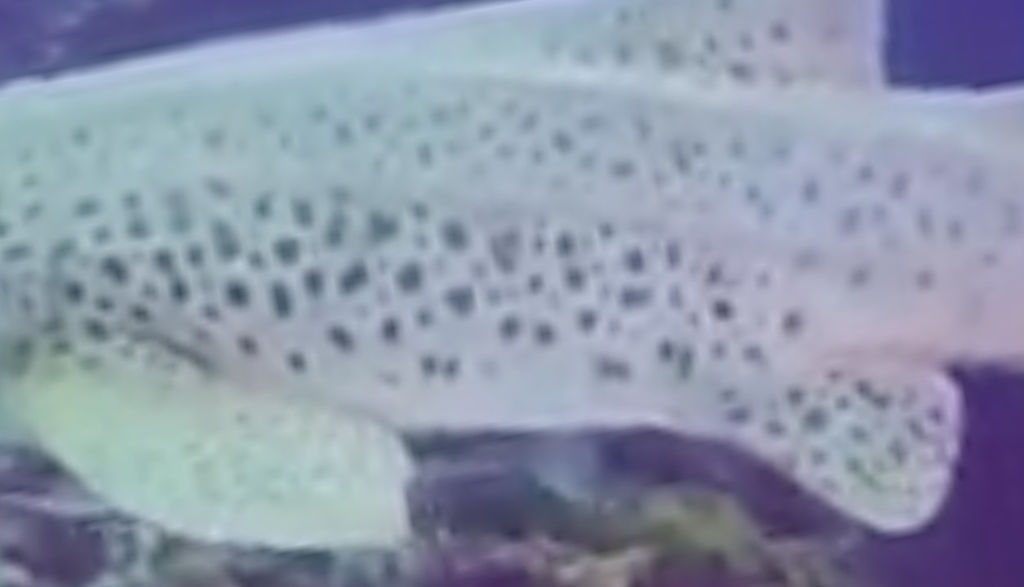 500b2734-7f13-459e-813c-0fcbfd50a2cd