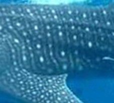 fe9da9df-9341-4121-95e0-7bc6cc4badc5