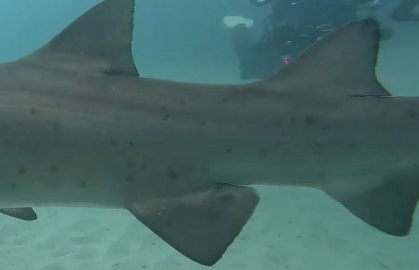 e7b05e60-bc3d-41b8-a988-f6af29337108