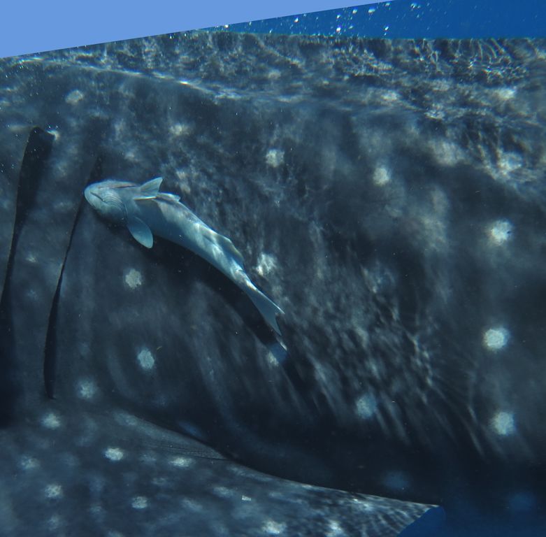 b46eea2b-cae5-4921-9a89-79e6cded1af3