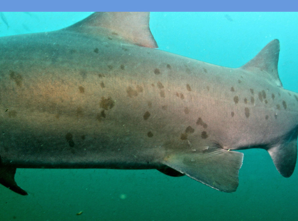 04d6e07e-d522-4e6e-8284-b6c36a91dbcd