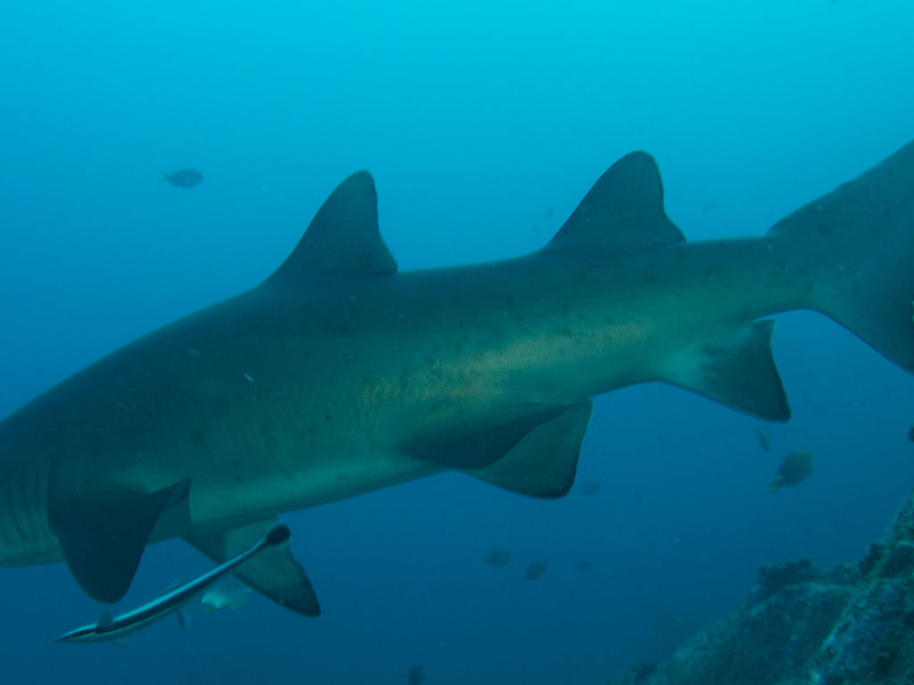 4d95d6ac-119f-4e6a-a0ec-7d52def5c9ed