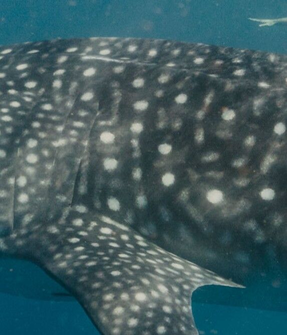 23634c5d-6450-4071-9bd2-814ff81e40a1