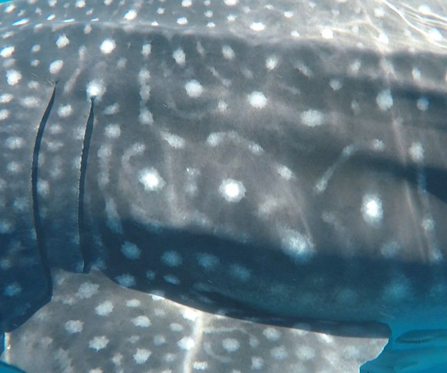 8165ff56-3476-4b0b-b10f-5b77fc71526e