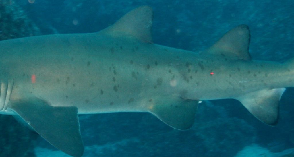 be7af0e0-9358-4168-9230-979c8df5832f