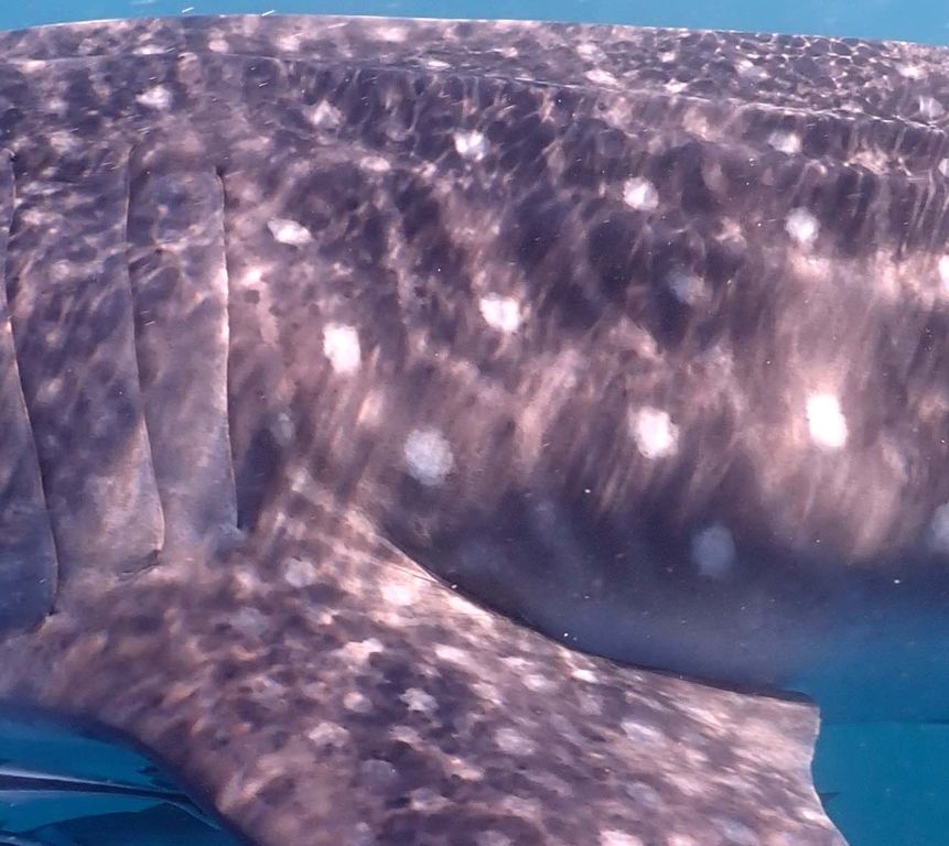 b6bfb35e-4324-47a8-828e-5e355c596cf2