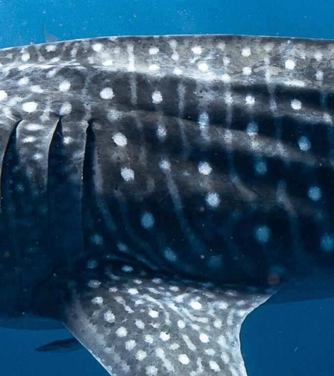 e121c21b-cab8-421c-b958-3c9a305a3478