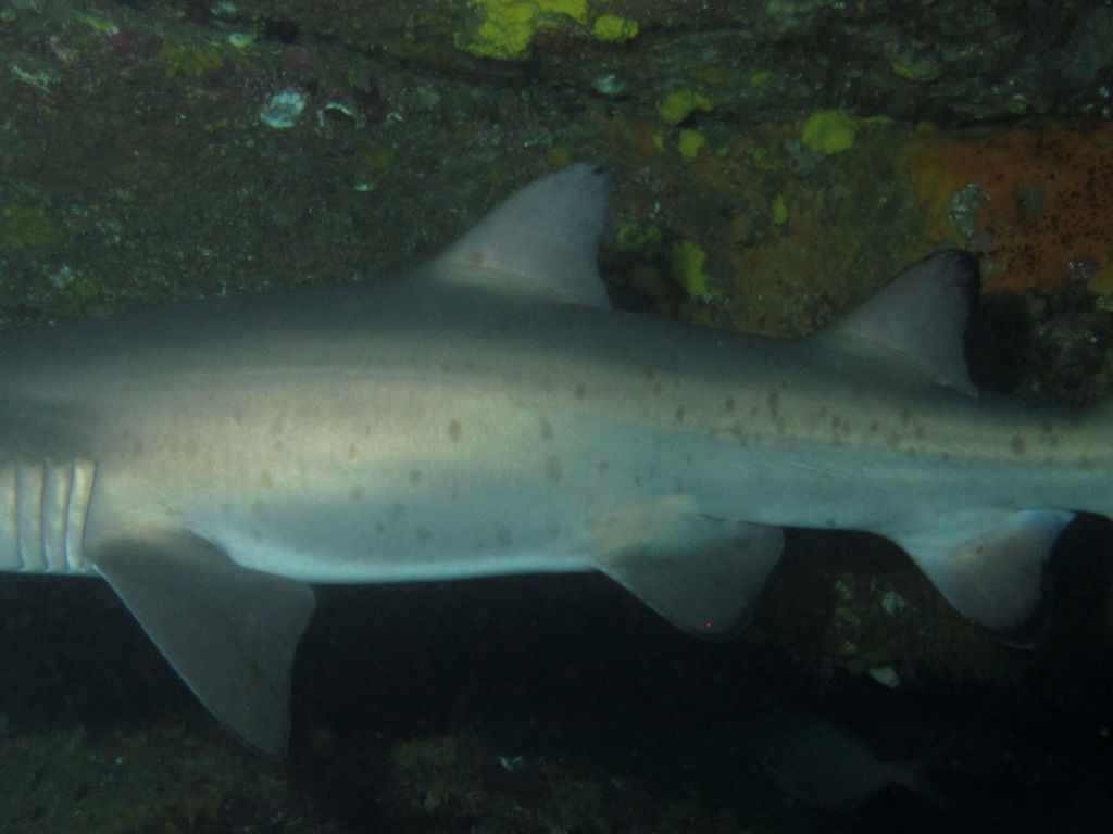 7f962089-7467-4050-a52b-7b7746019e82