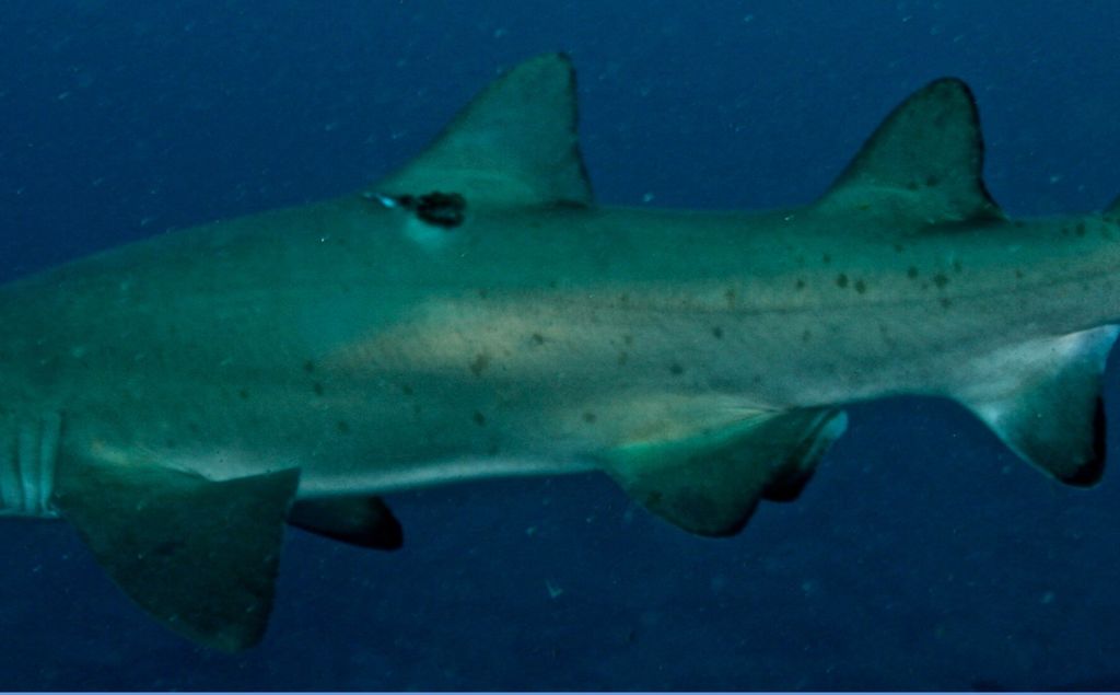 2c140f96-885e-4a7b-95e7-32b50d6b9e76