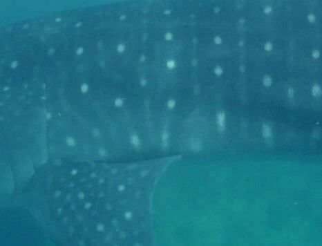 2f3cbc7c-4842-468b-93d5-c0611a472cb1