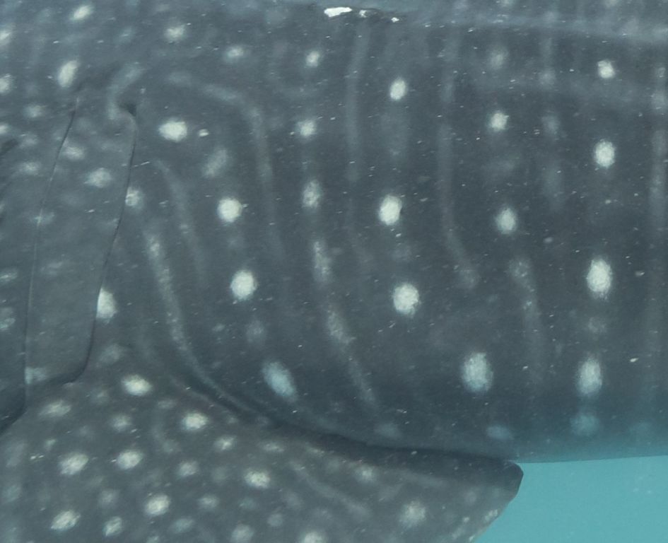 c6e79ed3-24f5-4fb6-8174-2e35315dbdd2