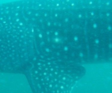 c5bc5673-466e-4fb4-b84c-e4f7d429b8c1