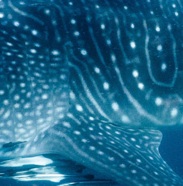 784b2540-b85a-4143-b395-c15aa7182762