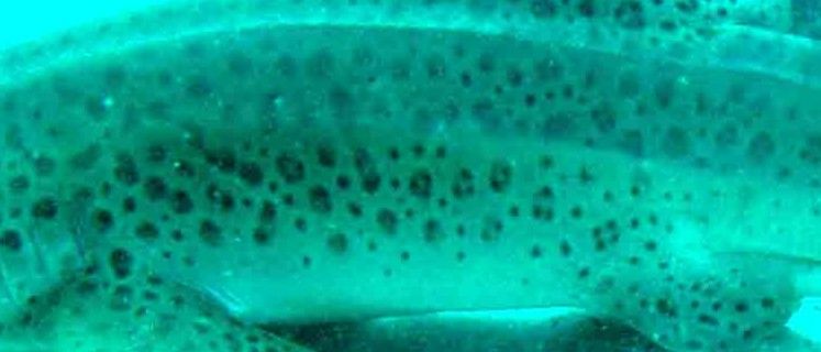 46cda292-115f-4bd0-8936-f8331db1c31d