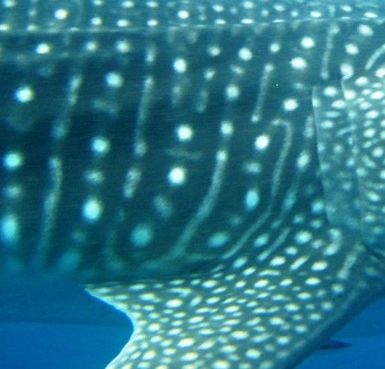 c0480d1d-9c41-4851-991d-fd113d351343