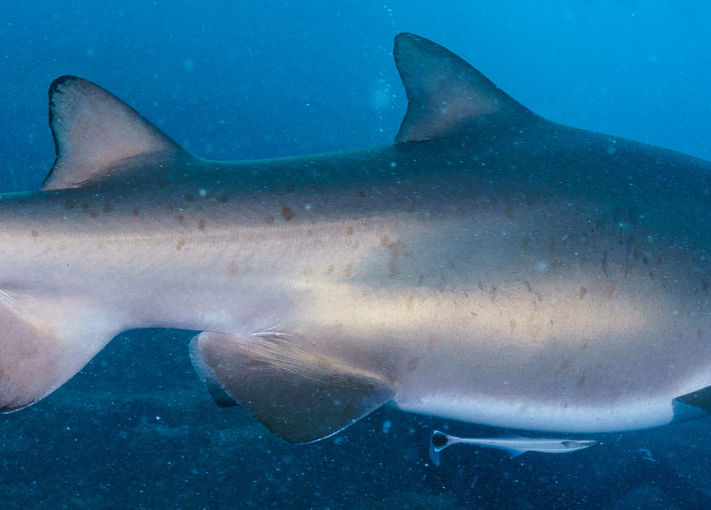 da730efc-1416-4573-b5cf-85b594ef877a