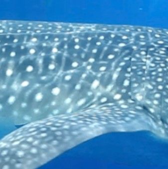 e403bcfd-663f-48ae-9a35-acf42c3a8771