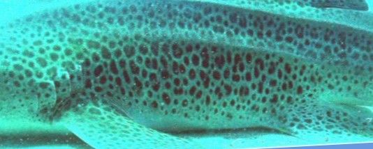 8911e65b-a73f-4c77-8b65-5bd93223e309