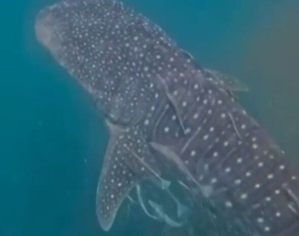 8d6db64c-9ca4-4b4f-9ff5-4885ec684eb6