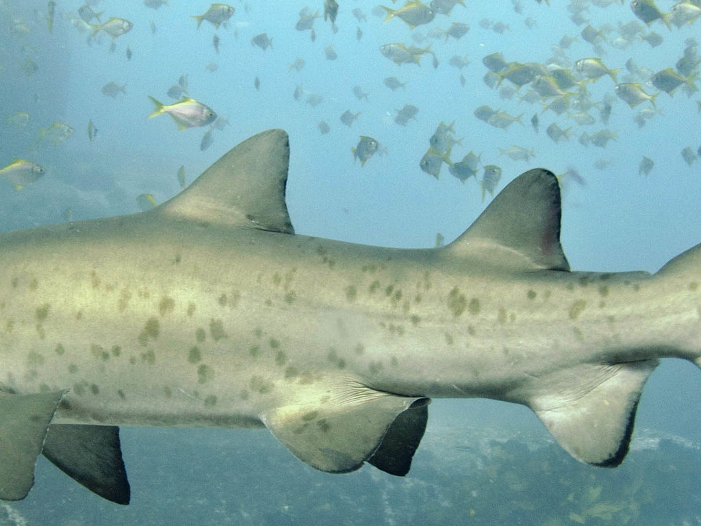 af83e204-5994-4191-9d3b-a2f408b4ea5d