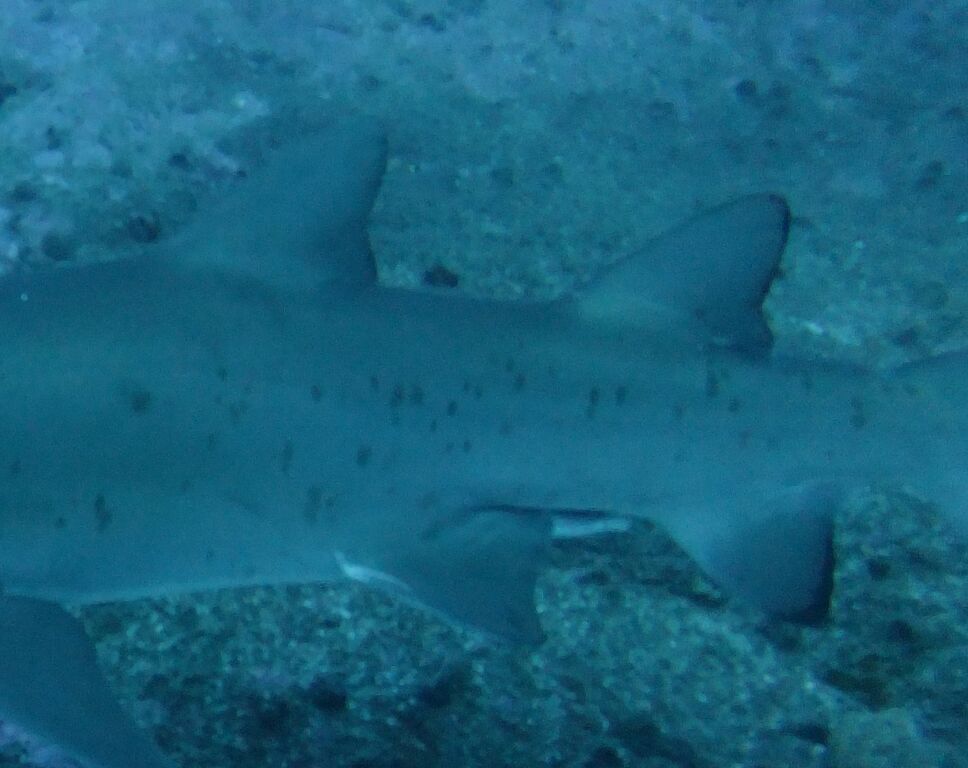 8428b3e3-950e-4fa5-b1cf-e896c50f5d49