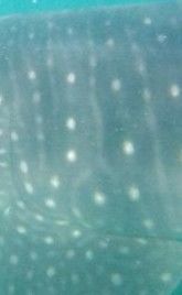 877c1154-30d1-4ce0-82fa-a02b6af2168a