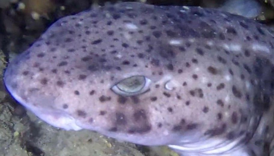 b5c09b47-6a53-4dd0-b58b-0ea96d2f8457