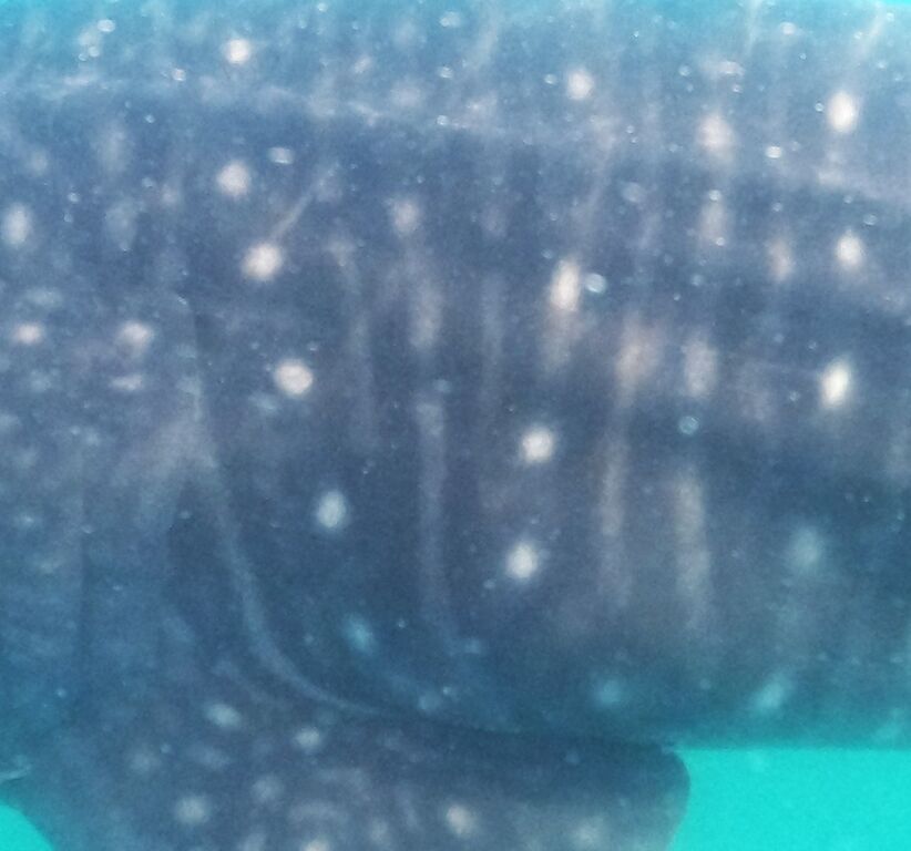 da8826f6-949c-4032-8ec3-2d89872687e5