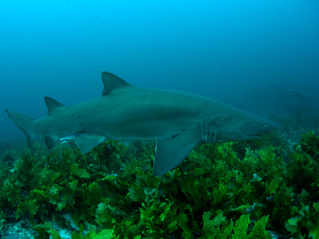 97b1146a-bcf8-4adc-a37d-4bfa91b97b73