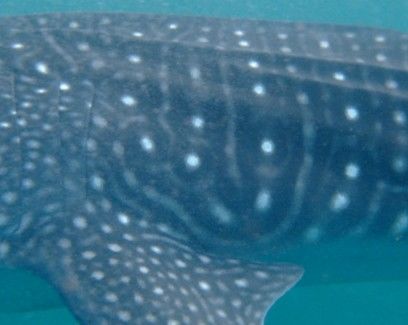 9f58cebe-81e7-49bc-9f2d-f1f8657e1305