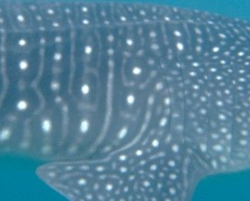 9f58cebe-81e7-49bc-9f2d-f1f8657e1305