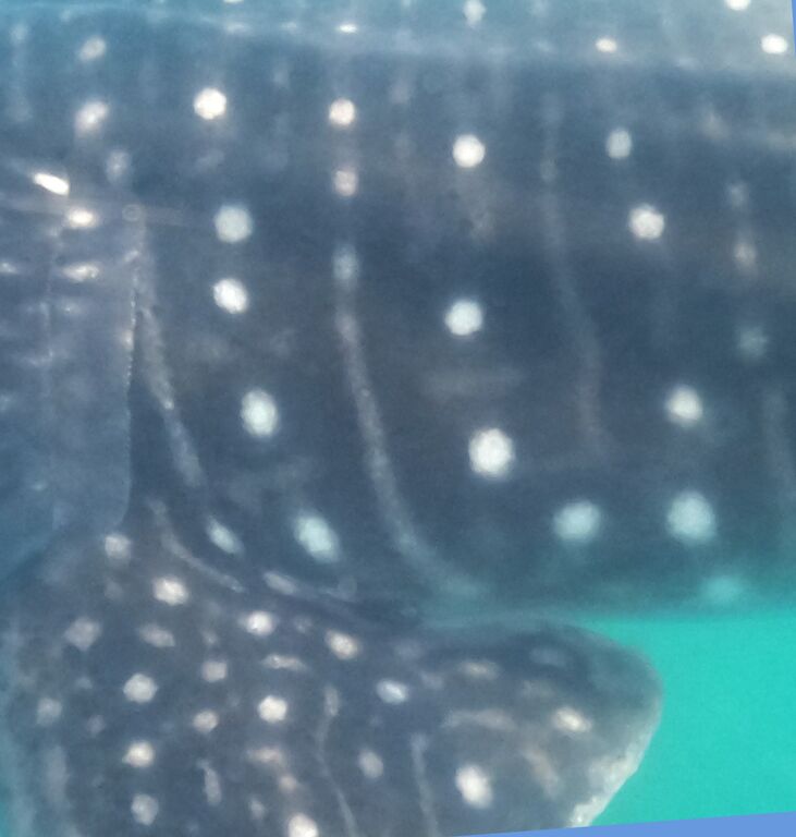 86256e59-fd33-49bd-9d9b-ea355d91abf4