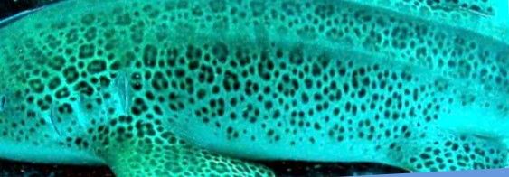 53dbf2b3-9ff8-4653-84be-51aa00bc505a