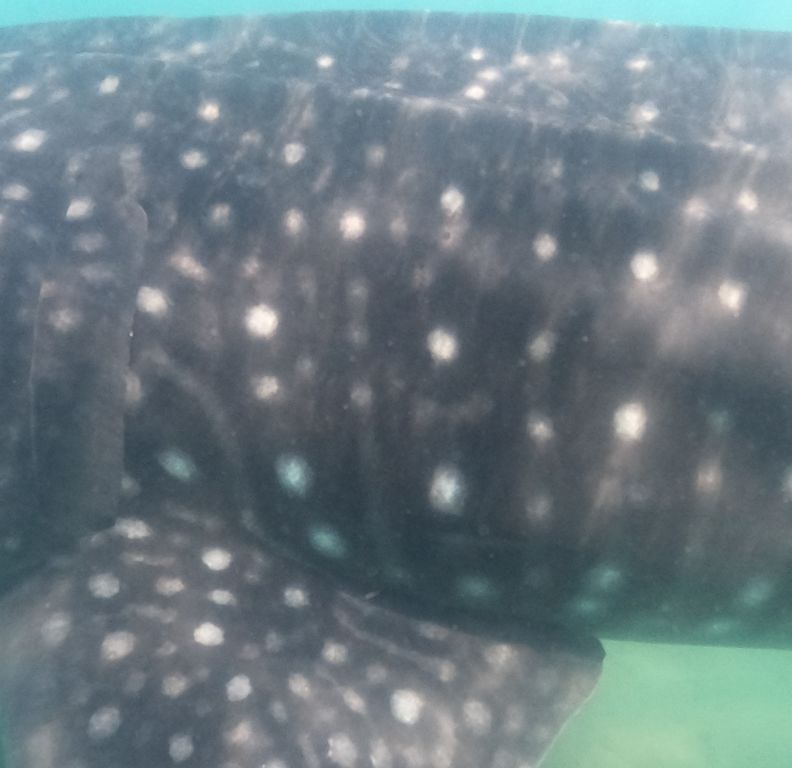 1f77e760-8b11-4fd1-80c8-cf347e72d5cf