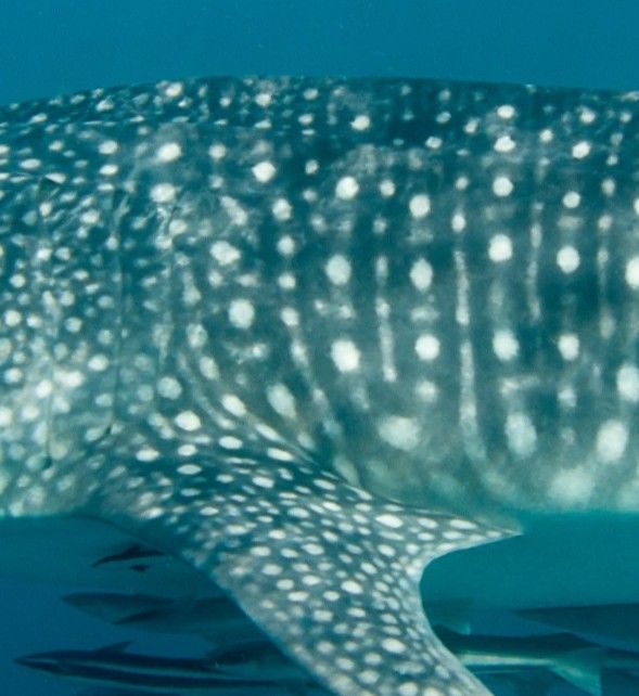 5484227b-94f9-4328-bf60-33688b4e7e54