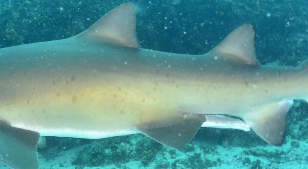 ec5397f2-8e6e-454a-ac9f-467c716a51f1