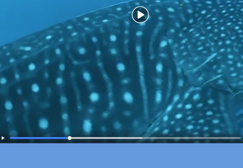 04f0a7d5-2532-4141-b051-a2ec93fe7524